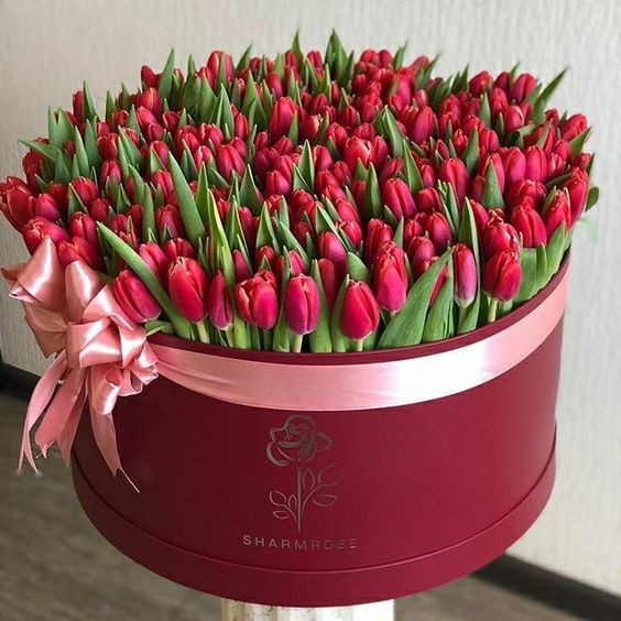 هاردباکس استوانه ای