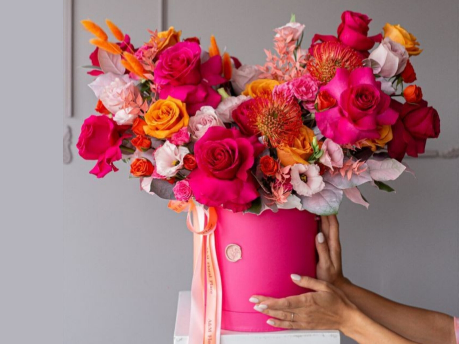 هاردباکس گل و گیاه